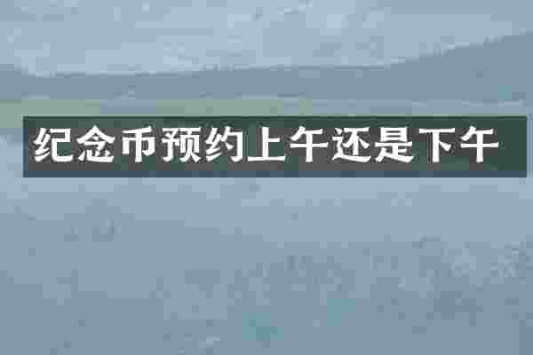 纪念币预约上午还是下午