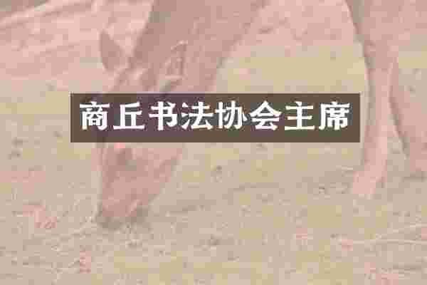 商丘书法协会主席