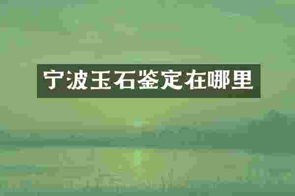 宁波玉石鉴定在哪里