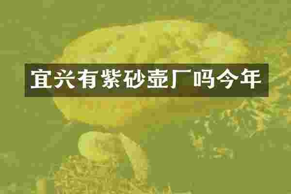 宜兴有紫砂壶厂吗今年