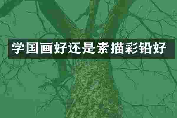 学国画好还是素描彩铅好