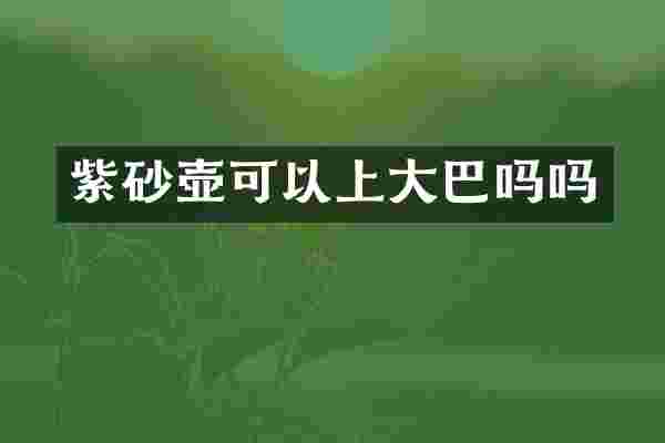 紫砂壶可以上大巴吗吗