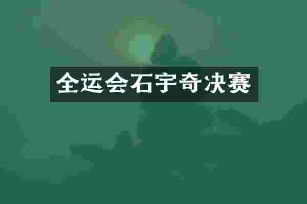 全运会石宇奇决赛