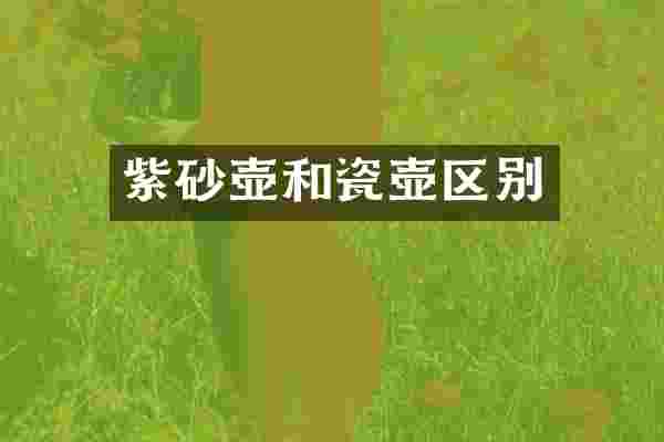 紫砂壶和瓷壶区别
