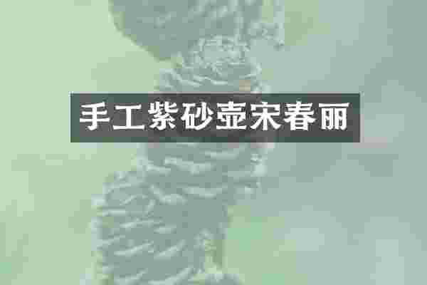 手工紫砂壶宋春丽
