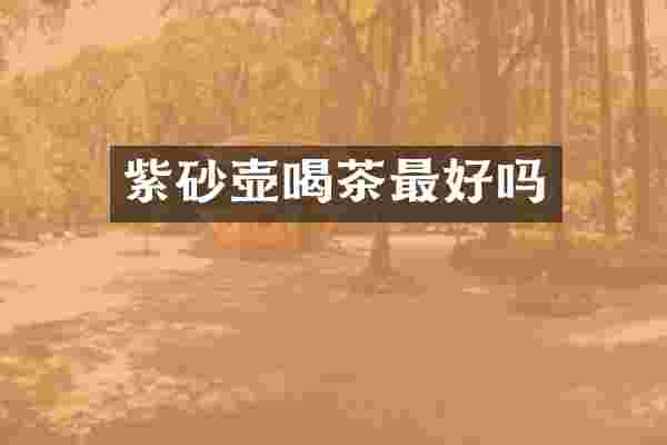 紫砂壶喝茶最好吗