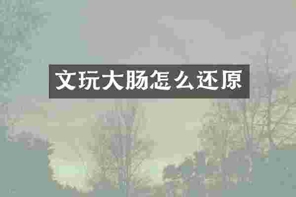 文玩大肠怎么还原