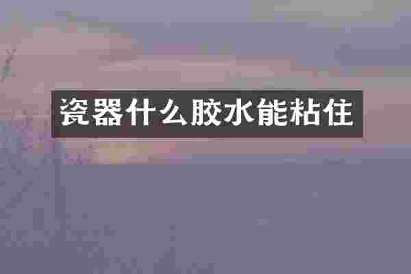 瓷器什么胶水能粘住