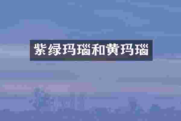 紫绿玛瑙和黄玛瑙
