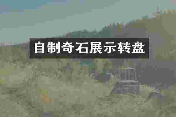 自制奇石展示转盘