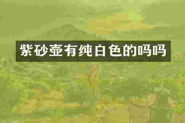 紫砂壶有纯白色的吗吗