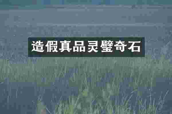 造假真品灵璧奇石