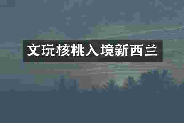 文玩核桃入境新西兰