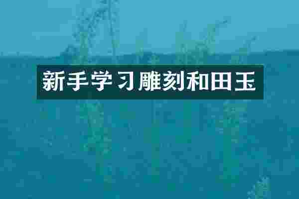 新手学习雕刻和田玉