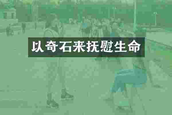 以奇石来抚慰生命