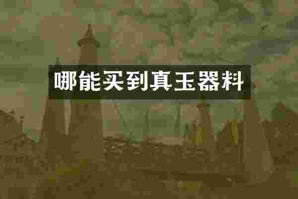 哪能买到真玉器料