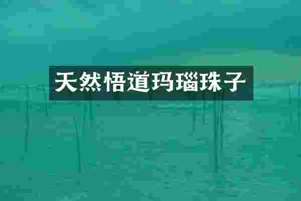 天然悟道玛瑙珠子