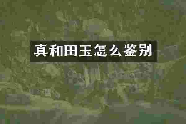 真和田玉怎么鉴别
