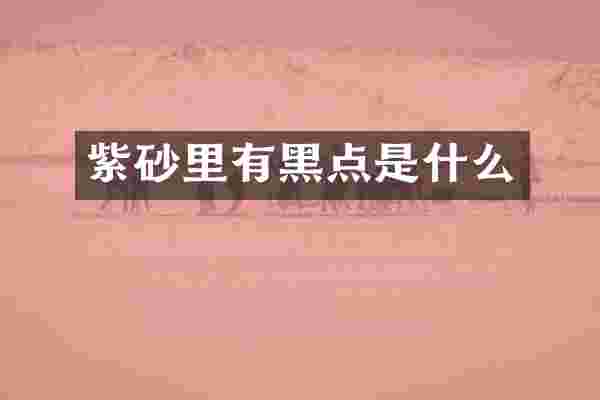 紫砂里有黑点是什么