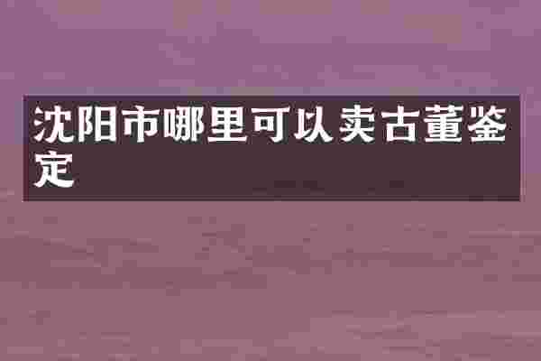 沈阳市哪里可以卖古董鉴定