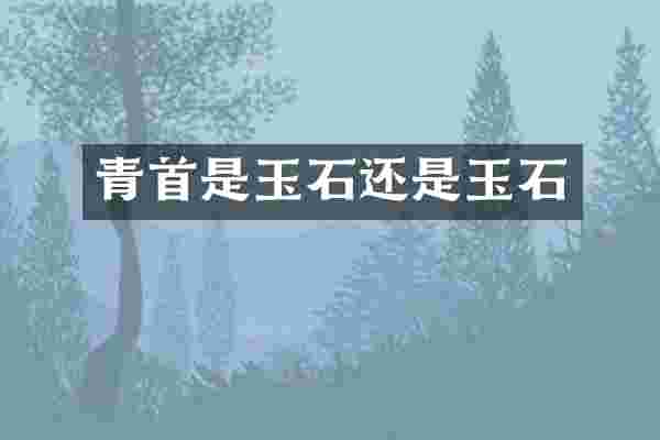 青首是玉石还是玉石