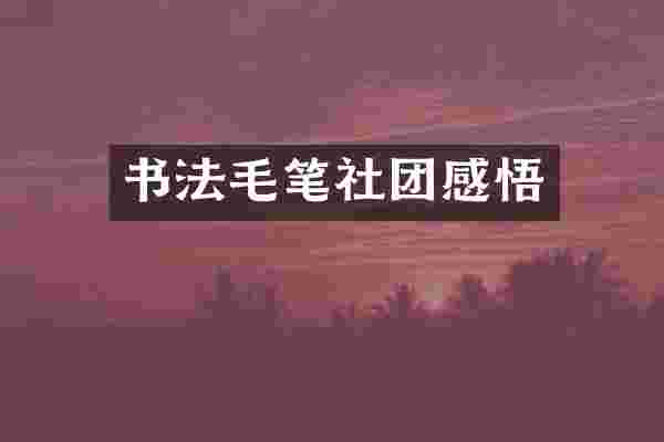 书法毛笔社团感悟