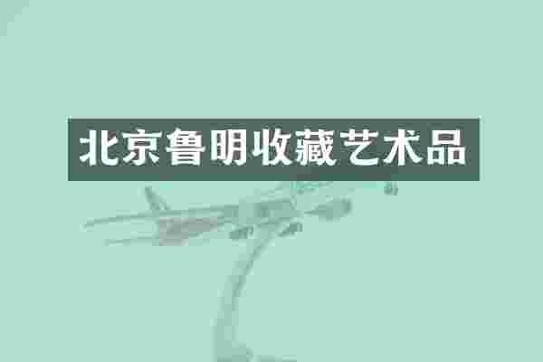 北京鲁明收藏艺术品