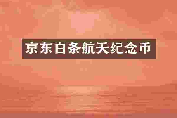 京东白条航天纪念币