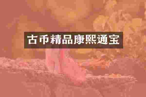 古币精品康熙通宝