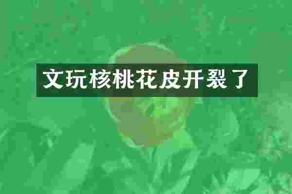 文玩核桃花皮开裂了