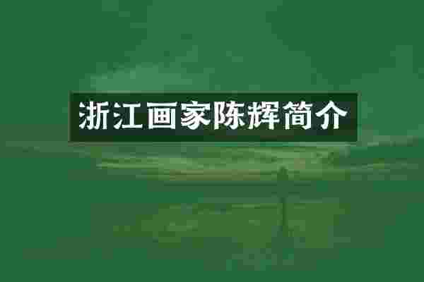 浙江画家陈辉简介