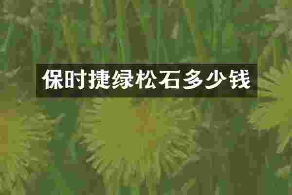 保时捷绿松石多少钱