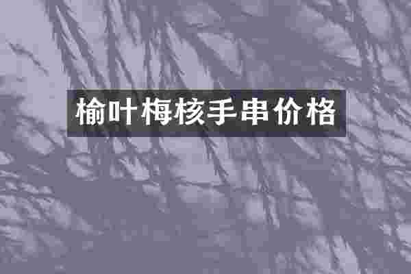 榆叶梅核手串价格