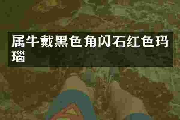 属牛戴黑色角闪石红色玛瑙