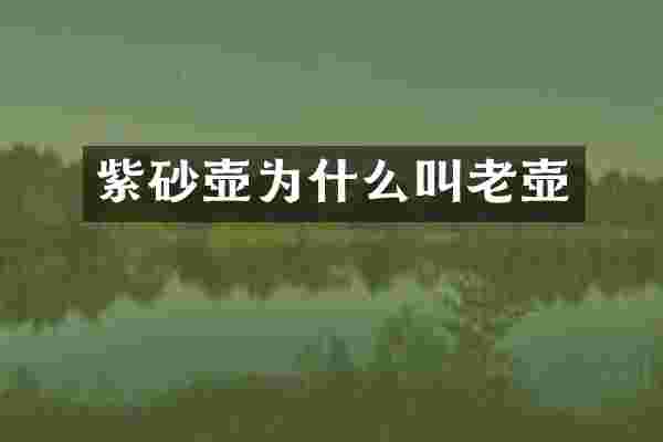 紫砂壶为什么叫老壶