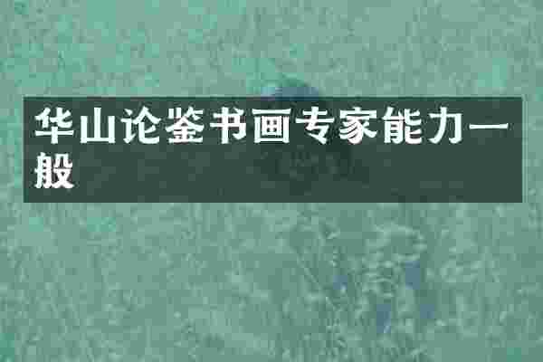 华山论鉴书画专家能力一般