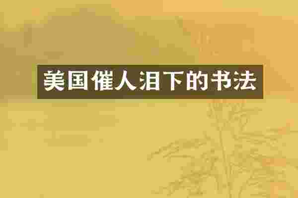 美国催人泪下的书法