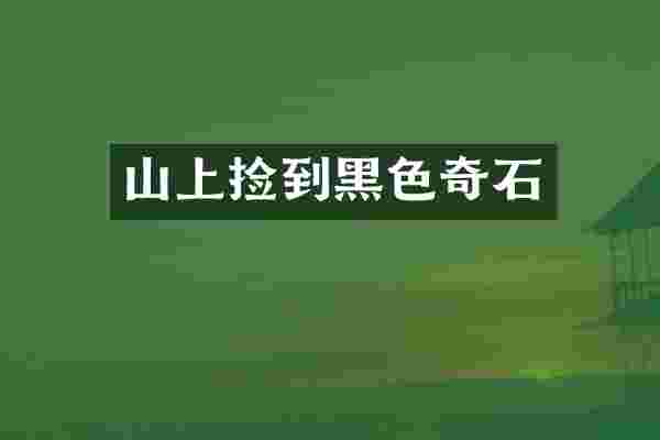山上捡到黑色奇石