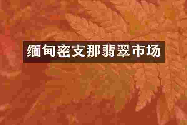 缅甸密支那翡翠市场