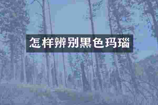 怎样辨别黑色玛瑙
