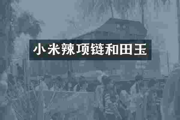 小米辣项链和田玉