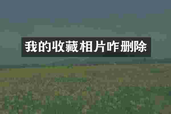 我的收藏相片咋删除