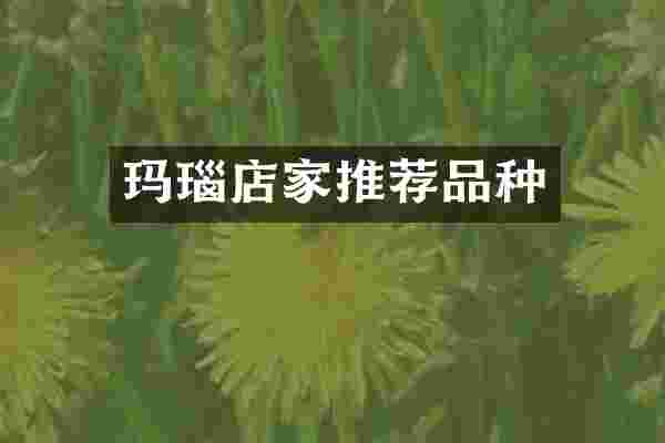 玛瑙店家推荐品种