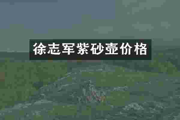 徐志军紫砂壶价格