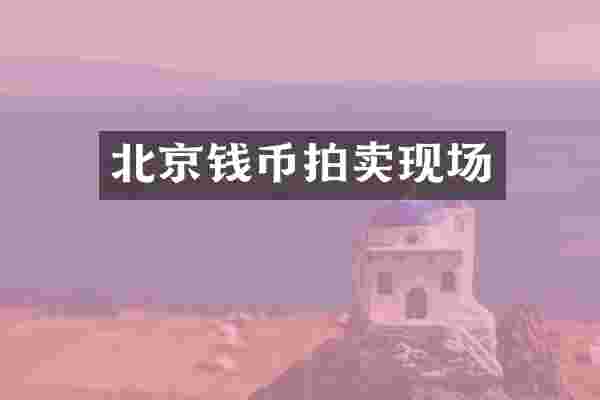 北京钱币拍卖现场