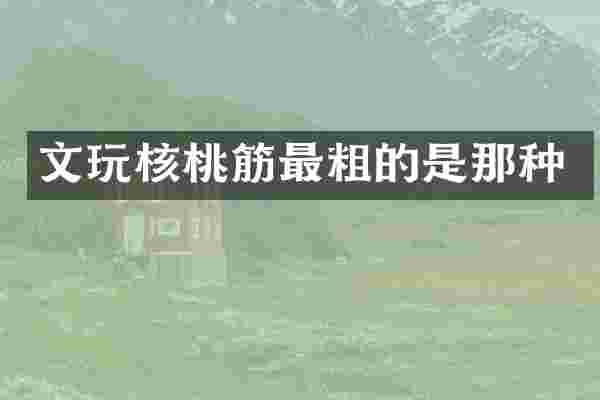 文玩核桃筋最粗的是那种