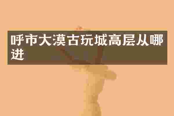 呼市大漠古玩城高层从哪进
