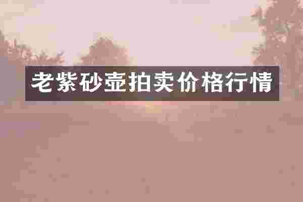 老紫砂壶拍卖价格行情