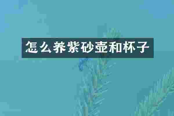怎么养紫砂壶和杯子
