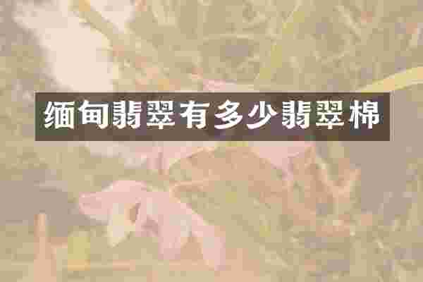 缅甸翡翠有多少翡翠棉